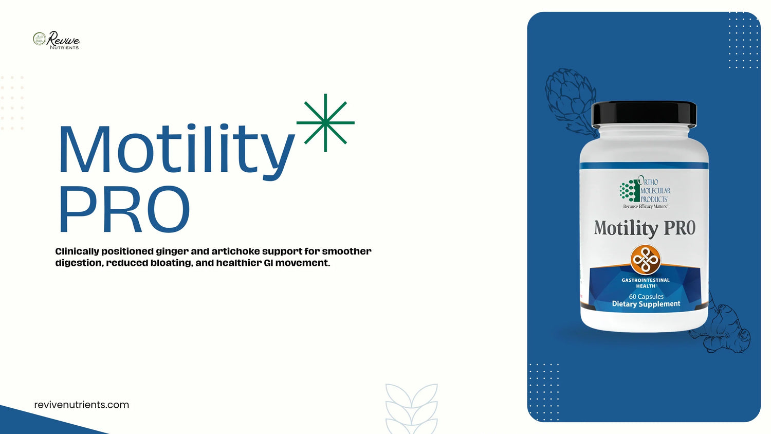 Motility_Pro_Newsletter.